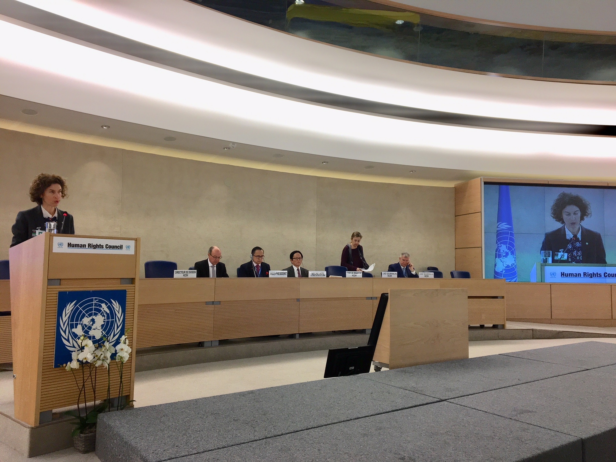 Maria Ubach anuncia que Andorra participarà en el procés d'examen voluntari al Fòrum de l’ECOSOC