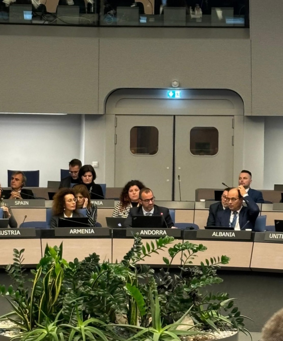 Andorra impulsa, amb cinc països més, una declaració conjunta al Consell d’Europa contra l’explotació i els abusos sexuals infantils