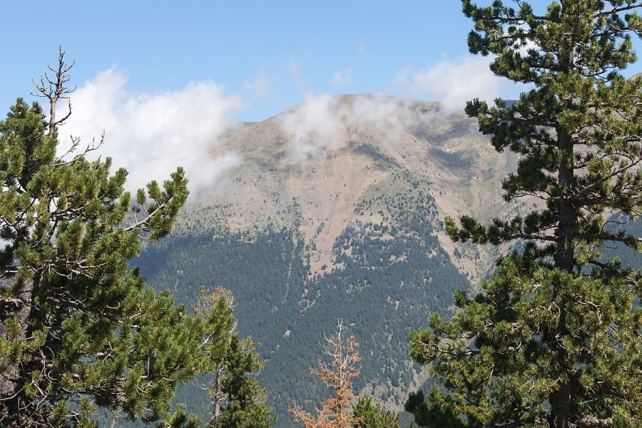 Pas endavant per a la construcció d’un edifici de pisos de lloguer assequible per a la gent gran a Sant Julià de Lòria