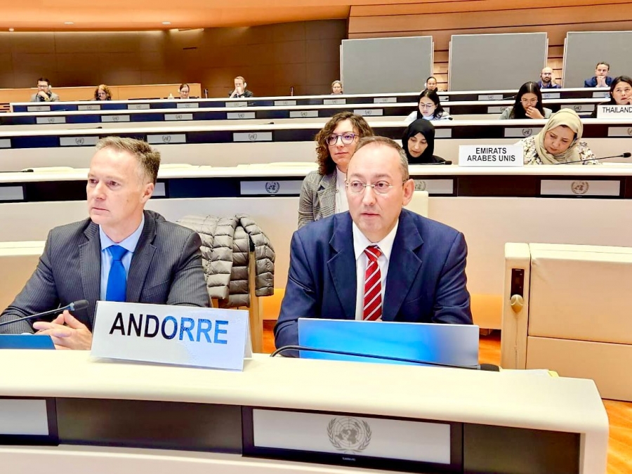 El Departament d’Estadística participa al Treball de les Nacions Unides per la mesura del comerç electrònic i l’economia digital