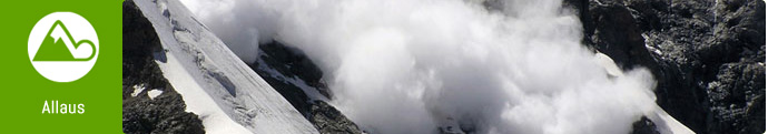 Allaus